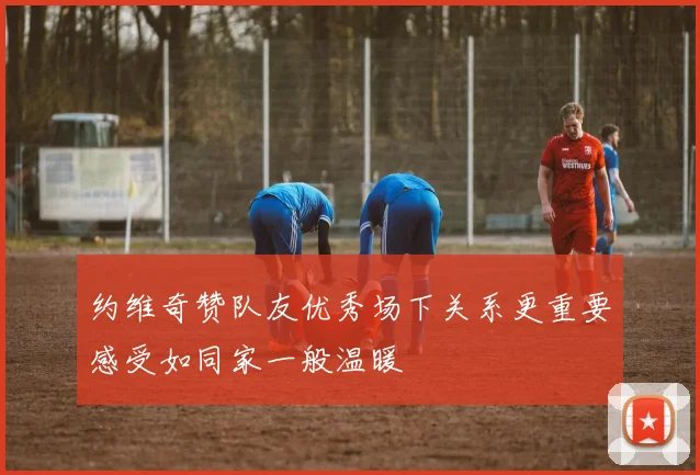 约维奇赞队友优秀场下关系更重要感受如同家一般温暖