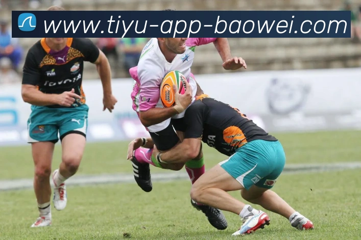 多媒体互动体验